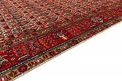Tapis oriental Hamedan 301 x 187 cm