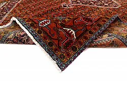Tapis oriental Hamedan 281 x 196 cm