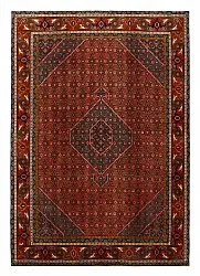 Tapis oriental Hamedan 279 x 195 cm