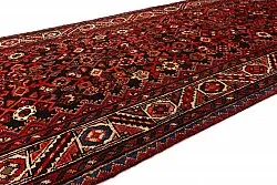 Tapis oriental Hamedan 322 x 114 cm