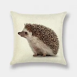 Housse de coussin 50 x 50 cm