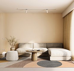 Tapis Wilton - Edna (multi)