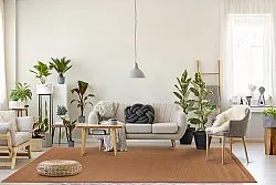 Tapis en sisal - Agave (marron-orangé)