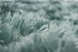 Tapis à poils longs - Janjira (bleu-vert)