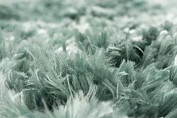 Tapis ronds - Janjira (bleu-vert)