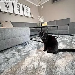 Tapis moelleux - Aranga Super Soft Fur (gris)