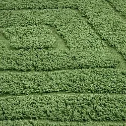 Tapis rond - Amberley Natural Cotton Shaggy (vert)
