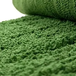 Tapis rond - Amberley Natural Cotton Shaggy (vert)