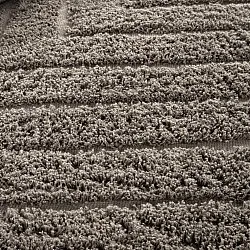 Tapis à poils longs - Conara Natural Cotton Shaggy (taupe)