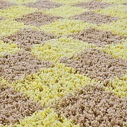 Tapis rond - Elsey Natural Cotton Shaggy (rumeno/bege)