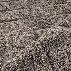 Tapis à poils longs - Farley Natural Cotton Shaggy (taupe)