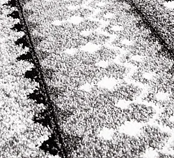 Tapis Wilton - Elduvik (gris)