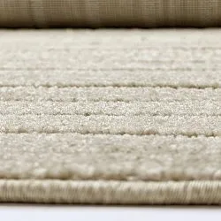 Shaggy intérieur/extérieur - Hazleton (beige)