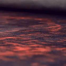 Tapis Wilton - Frome (rouge)