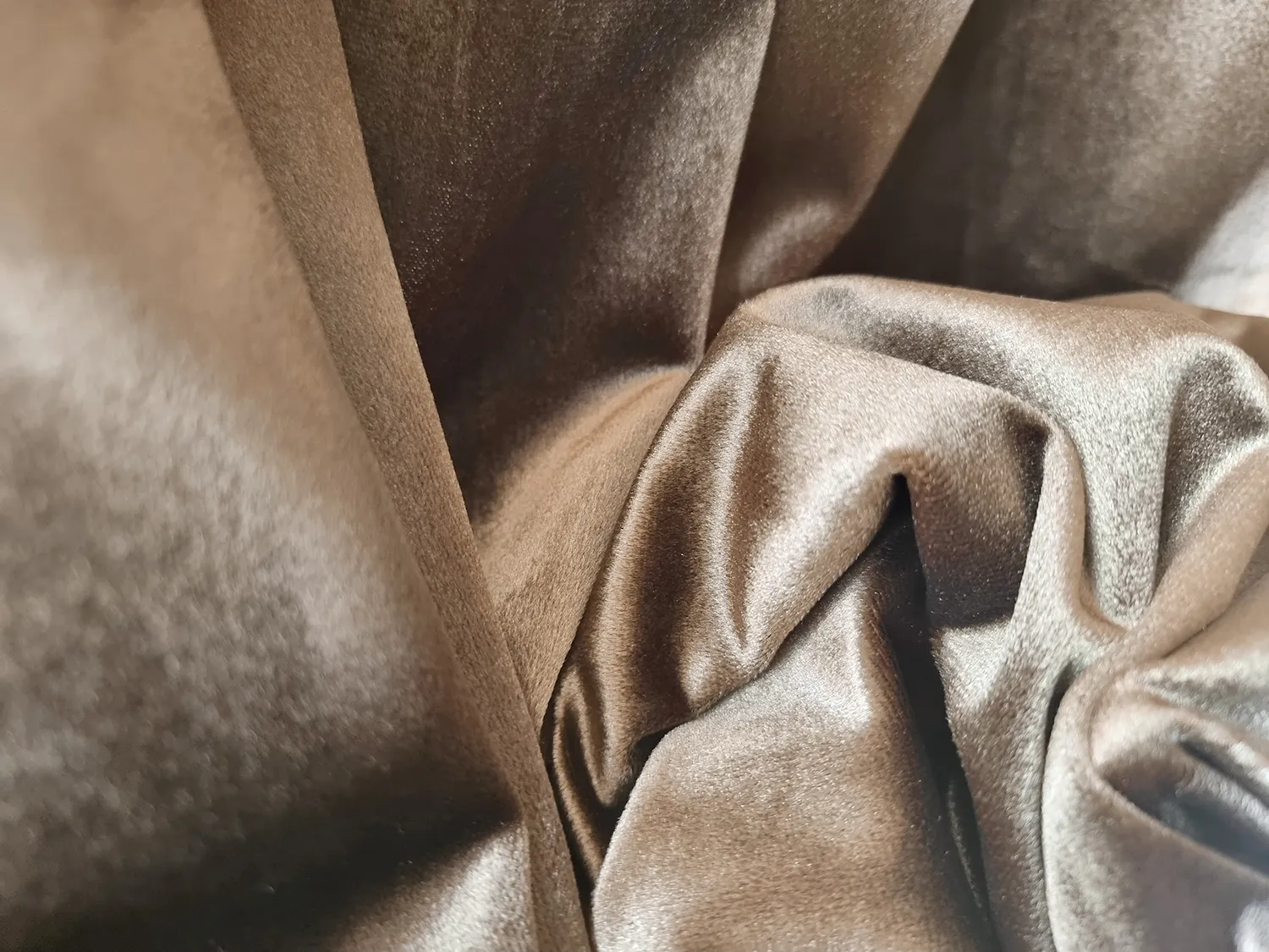Rideaux - Rideau en velours Marlyn (marron)