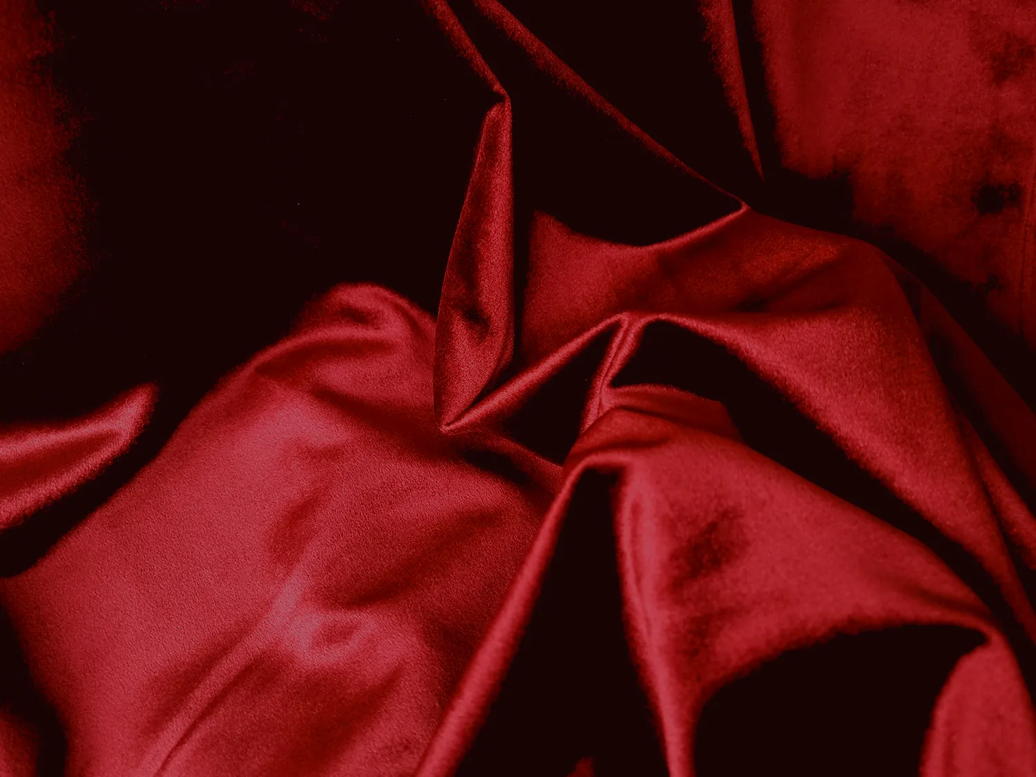 Rideaux - Rideau en velours Marlyn (rouge)