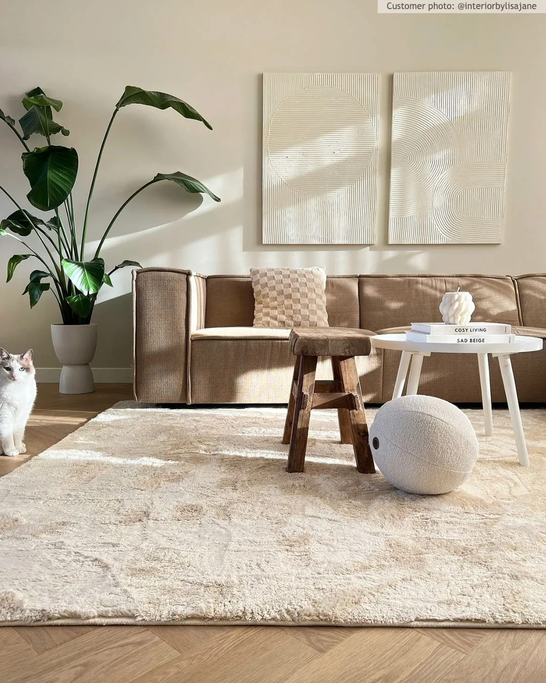 Tapis moelleux - Aranga Super Soft Fur (beige)