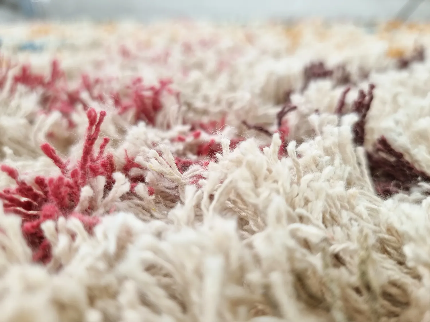 Tapis à poils longs - Maloney Natural Cotton Shaggy (multi)