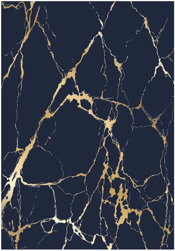Tapis Wilton - Cesina (noir/doré)