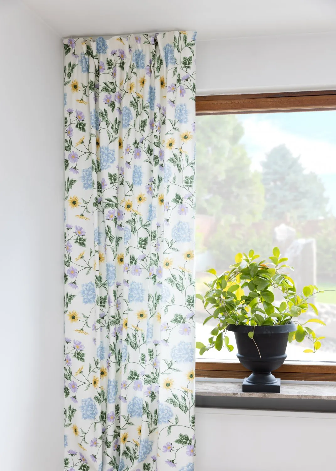 Rideaux - Rideau en coton Dahlia (bleu)