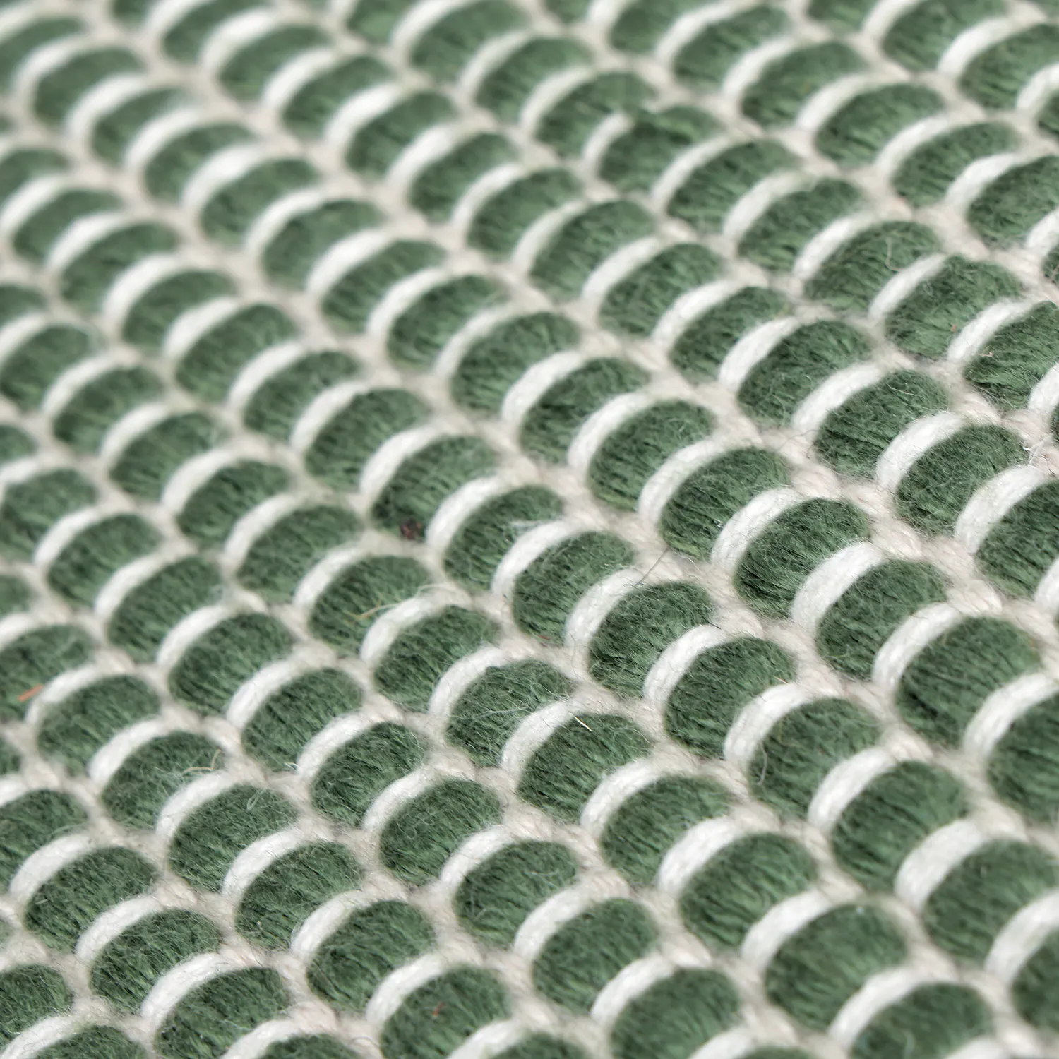 Tapis Intérieurs/Extérieurs - Coastal Wool Look (vert/blanc)