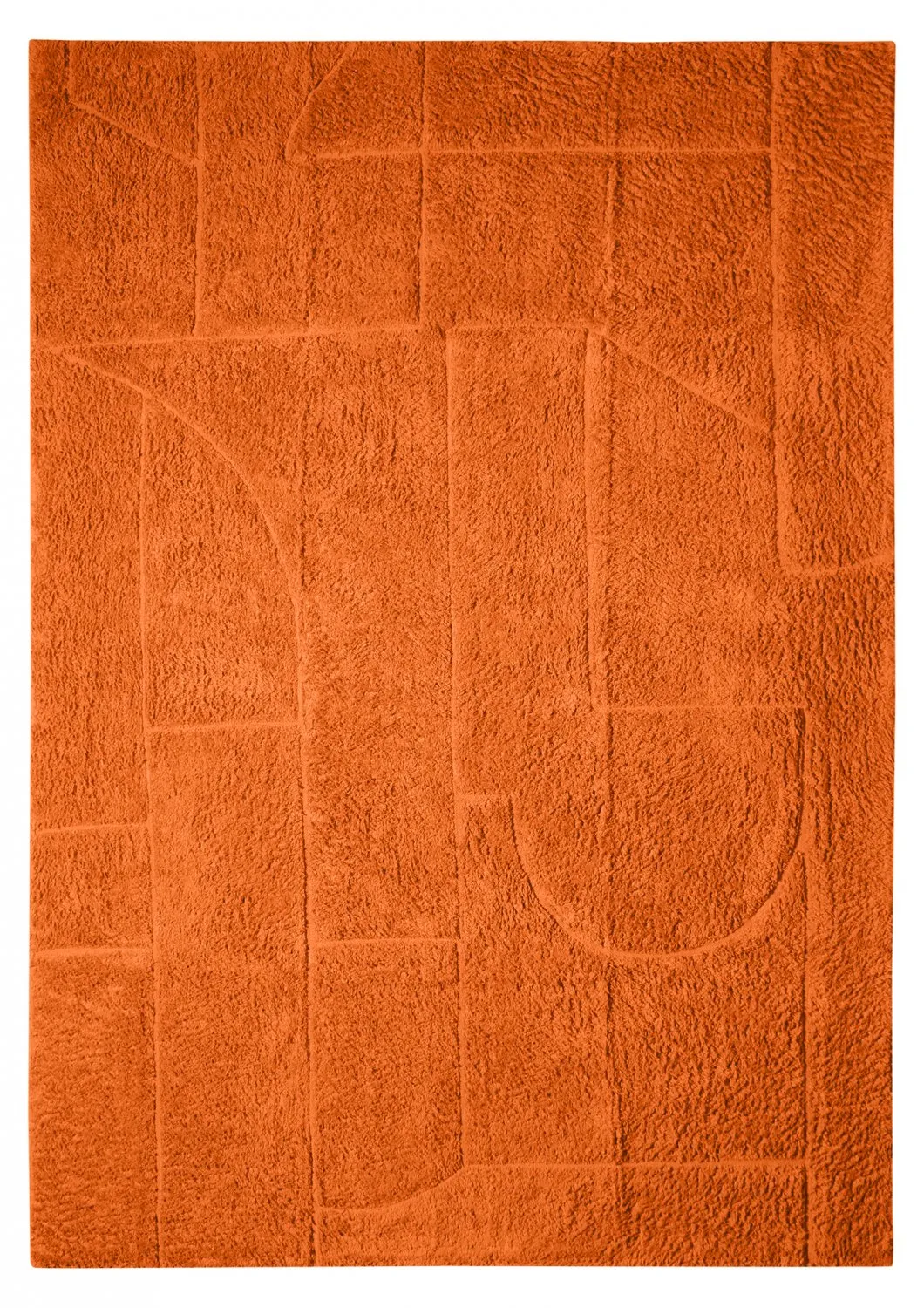 Tapis À Poils Longs, Couleur Rouge, Unicolor - Monochrome, 7867, Tapis