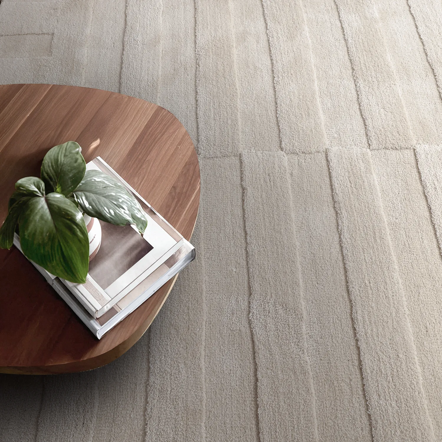 Tapis shaggy - Paxos (beige)