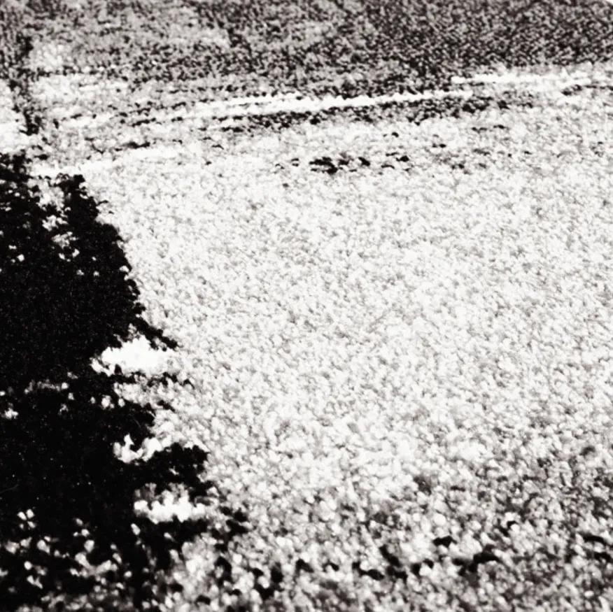 Tapis Wilton - Nesvik (gris)