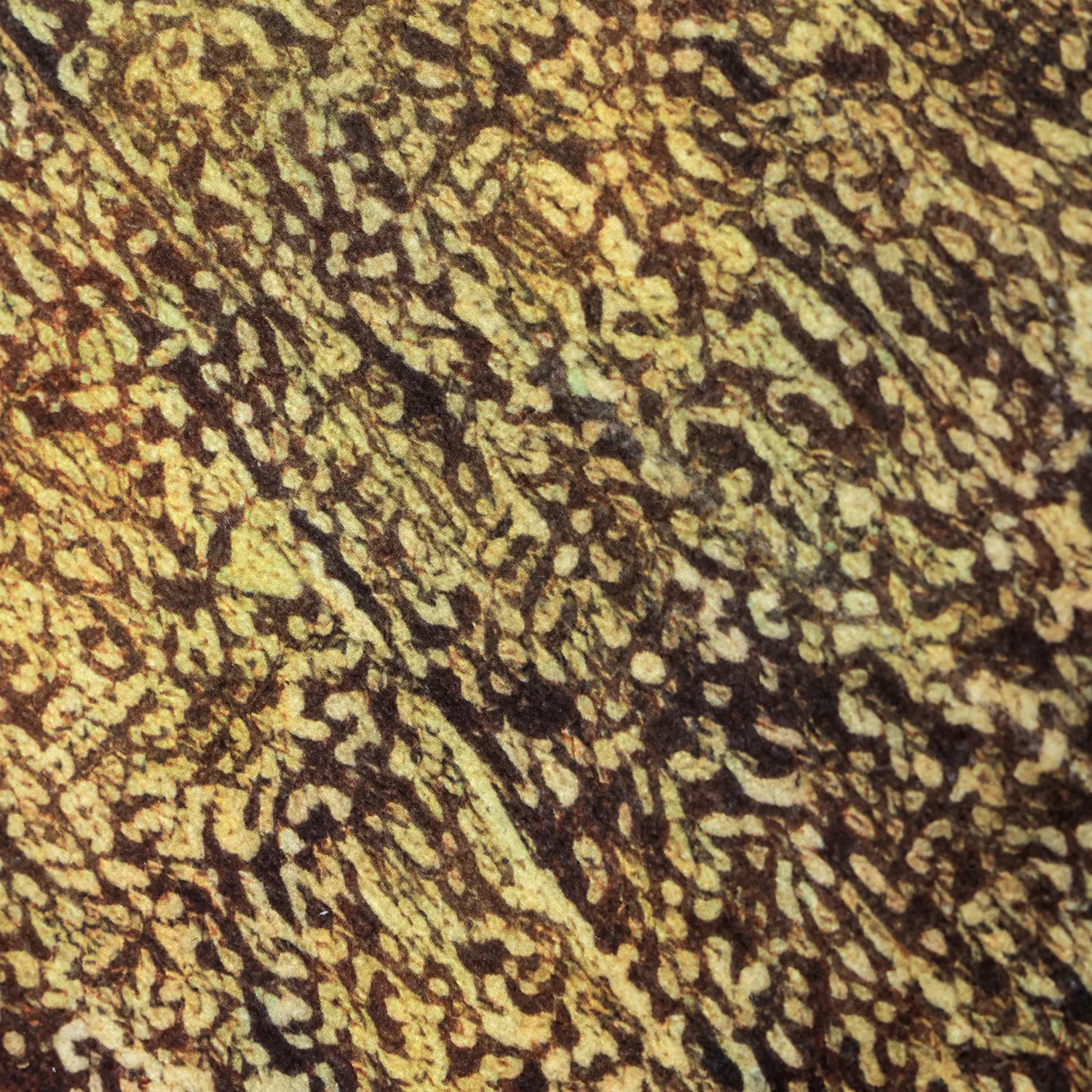 Tapis Wilton - Oristano (marron/doré)